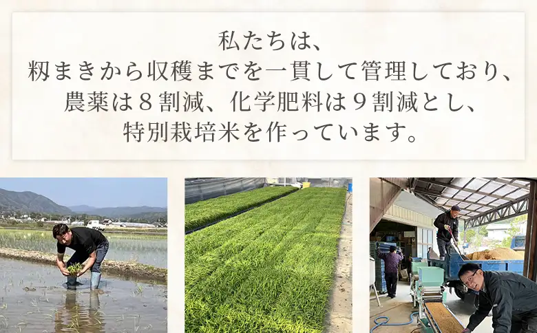 【順次発送】特別栽培米 ミルキークイーン 10kg 高知県香南市産 sr-0008