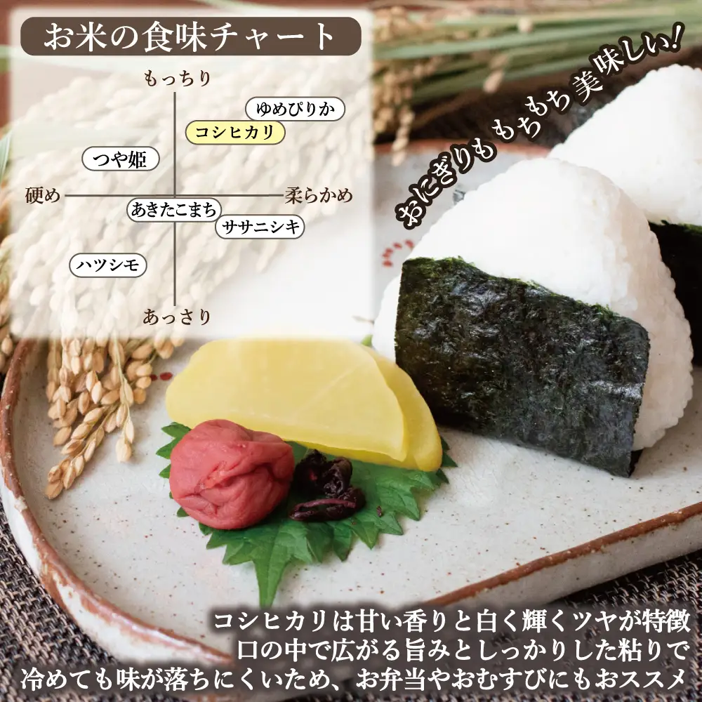新地産こしひかり玄米5kg｜コシヒカリ お米 2025年産  おこめ ライス  R7 ご飯 ごはん 数量限定 ブランド米 令和7年度産 健康 つやつや もちもち 新地町