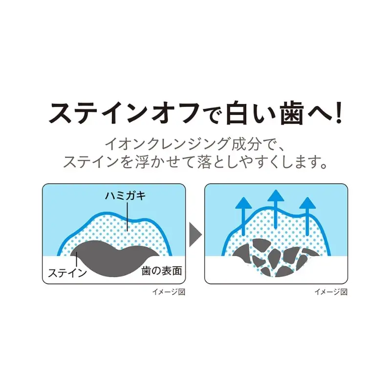 ライオン NONIO オーラルケア 各12本 歯磨きセット