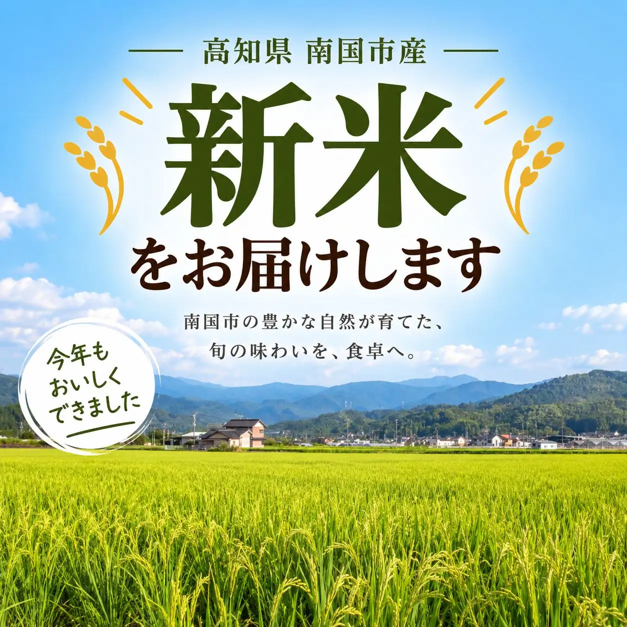 【令和8年度産】白米 コシヒカリ 10kg | 精米 高知県 南国市 コシヒカリ 10kg