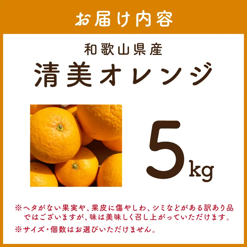 訳ありご家庭用清美オレンジ約5kgサイズ混合【1317-1】