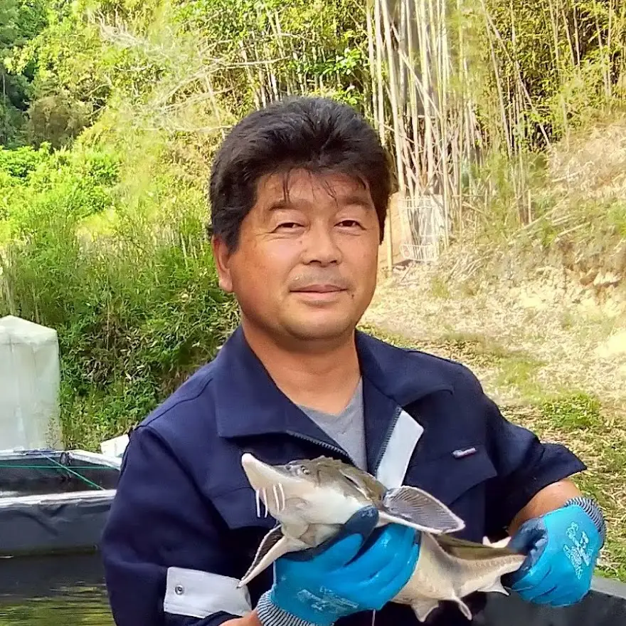 チョウザメ観賞魚(生体) ベステル【7月～9月末】　ku183-005-r　(北海道・沖縄県・離島配送不可)