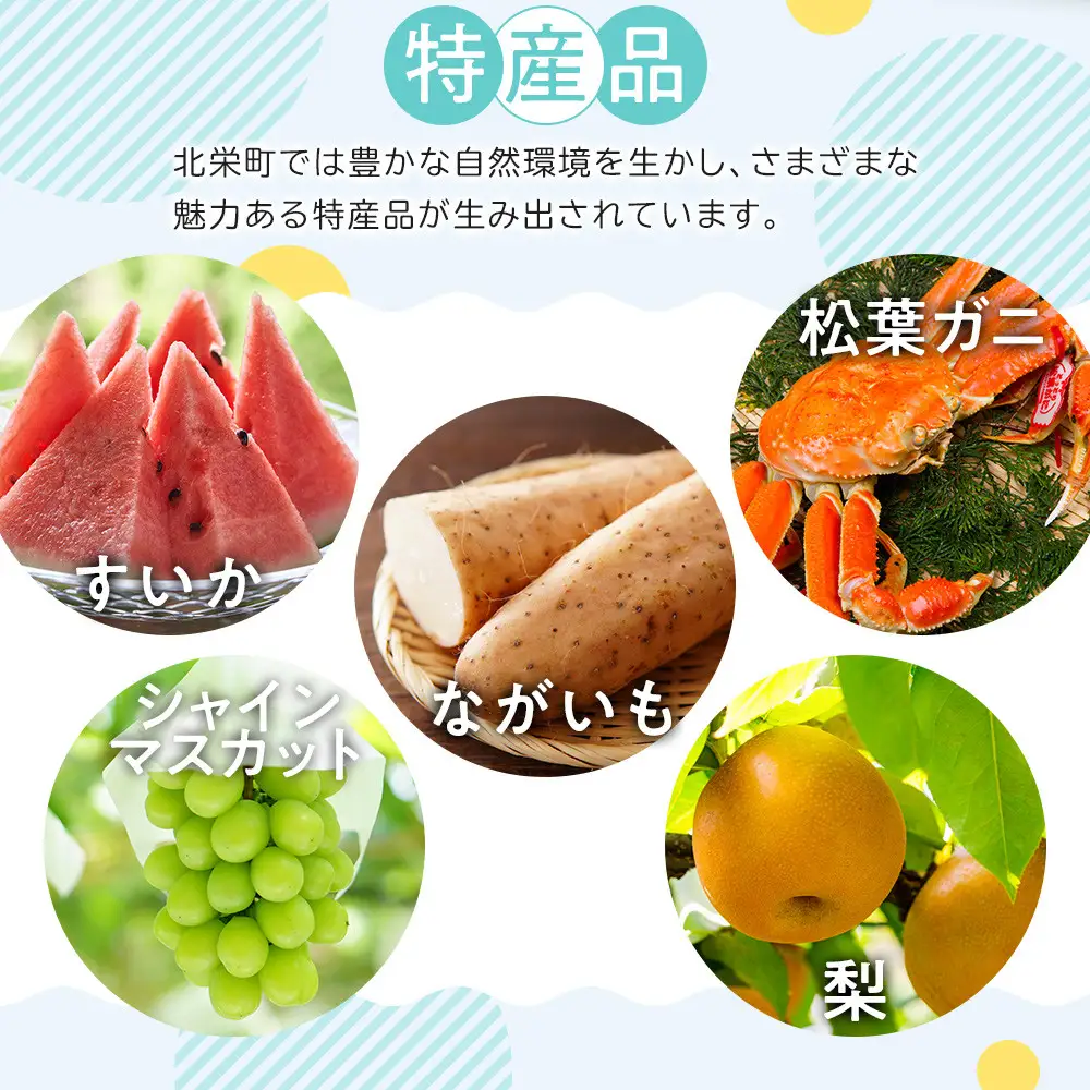 鳥取限定 コナングッズ詰合せB コナン