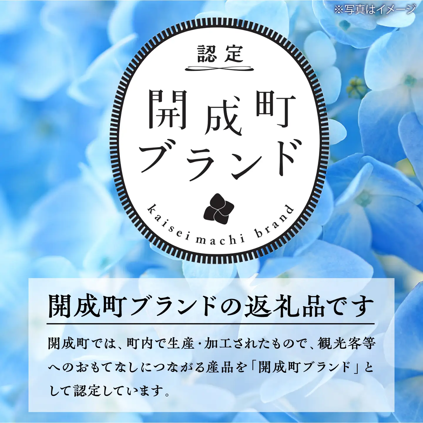にんじんドレッシング 12本【文命農業】ドレッシング [BDAX003-3]