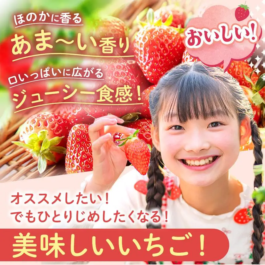  【2027年先行予約】〔定期便3回〕鮮度抜群 いちご とちあいか 290g×8P【栃木県共通返礼品 真岡市産】 栃木県矢板市