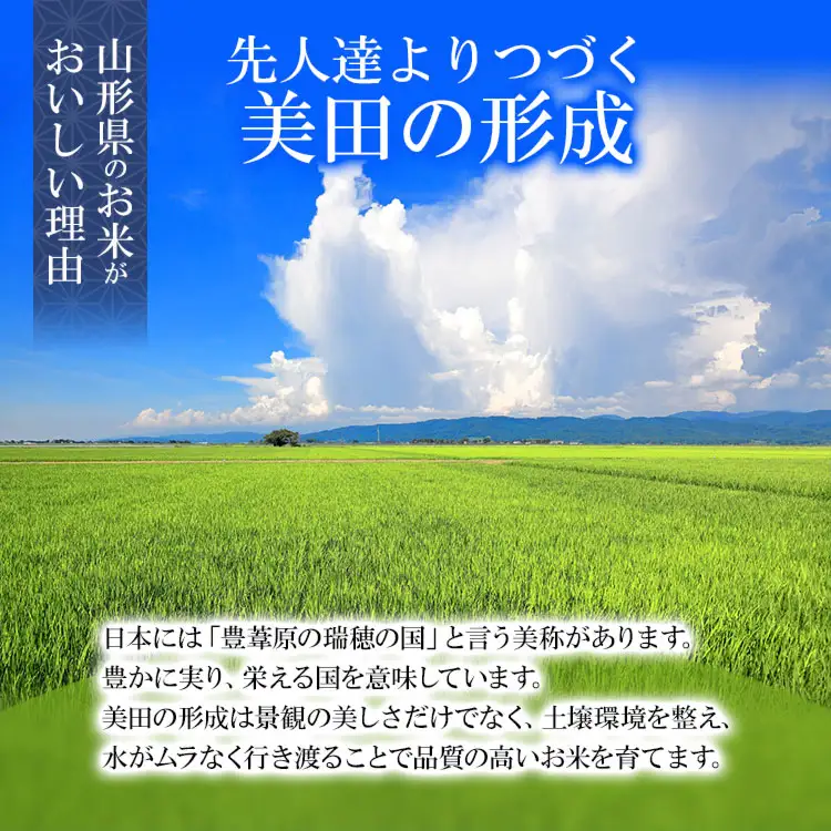 【令和7年産】 特別栽培米 つや姫 2kg (2kg×1袋)