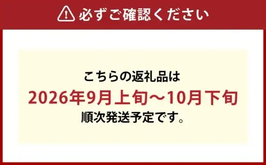 晴王 つる付きシャインマスカット 2房 （ 1房580g以上 ） 露地栽培 シャインマスカット 果汁 くだもの 果物 果実 フルーツ ぶどう 葡萄 マスカット 【 2026年9月上旬～10月下旬発送予定 】