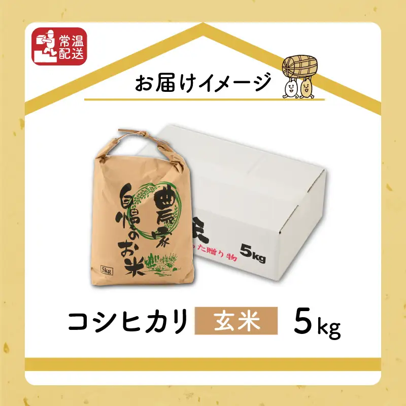 米 令和8年産 コシヒカリ玄米 5kg 先行予約 [A-040028]