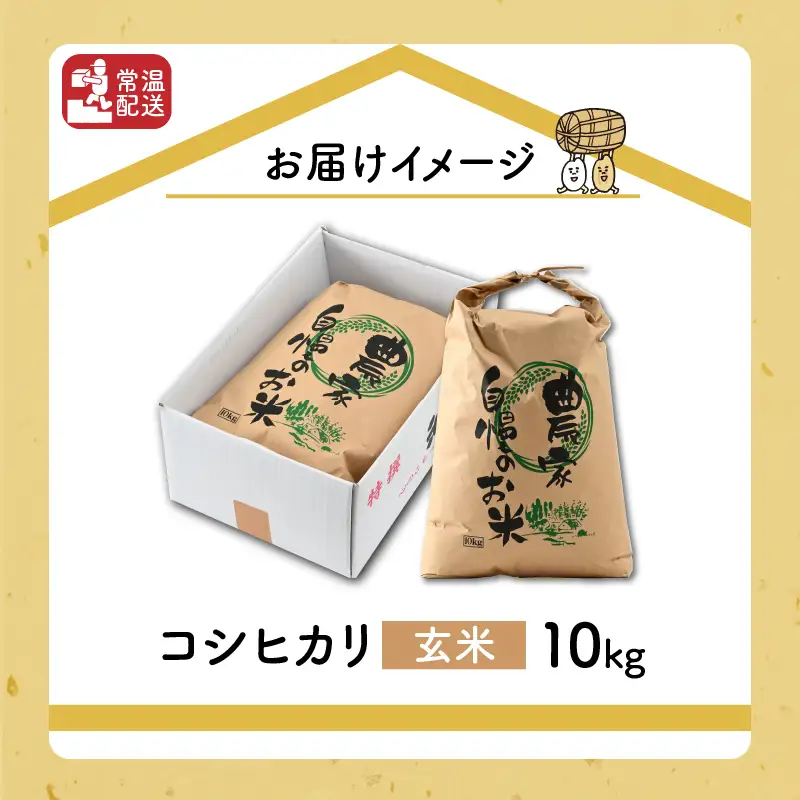 米 令和8年産 コシヒカリ玄米10kg 先行予約 [B-040029]