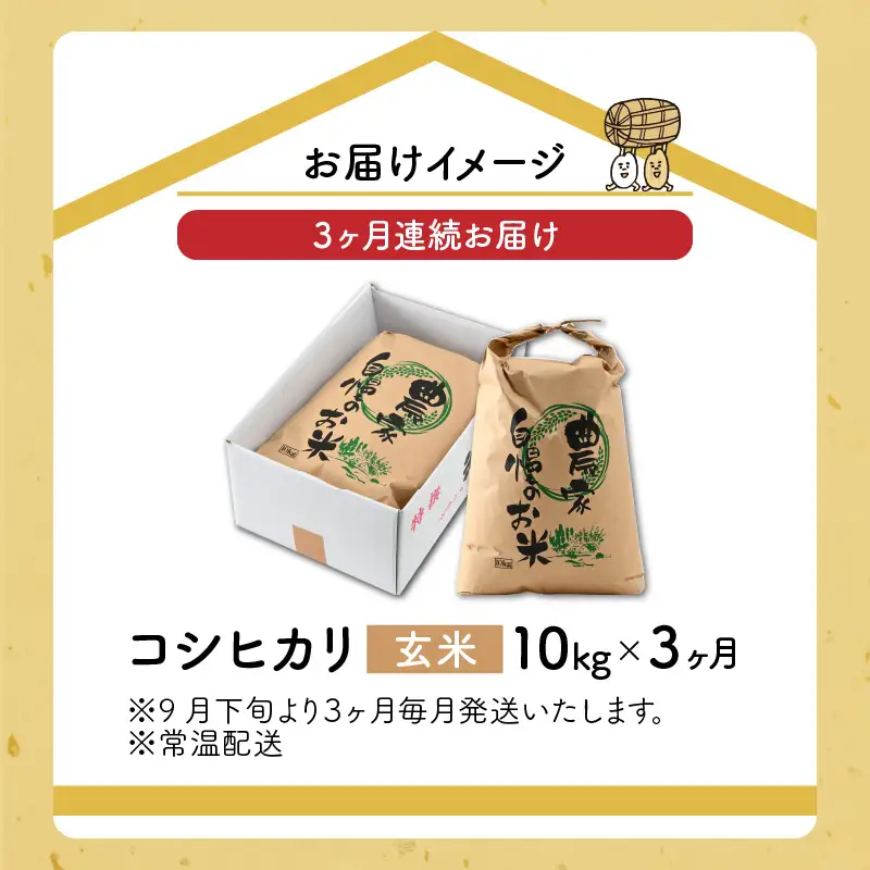 米 令和8年産 コシヒカリ玄米 定期便 10kg×3回[C-040008]