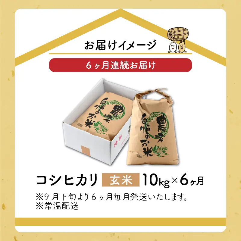 米 令和8年産 コシヒカリ 玄米 定期便 10kg×6回[F-040006]