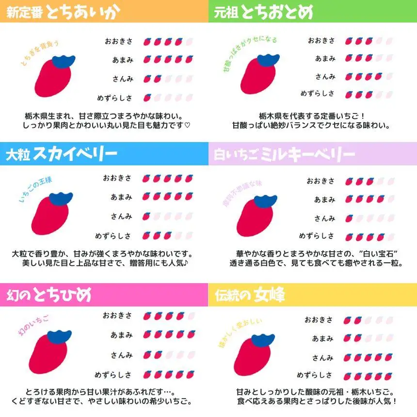 【2027年先行予約】幻のとちひめ×伝統の女峰 食べ比べセット 560g