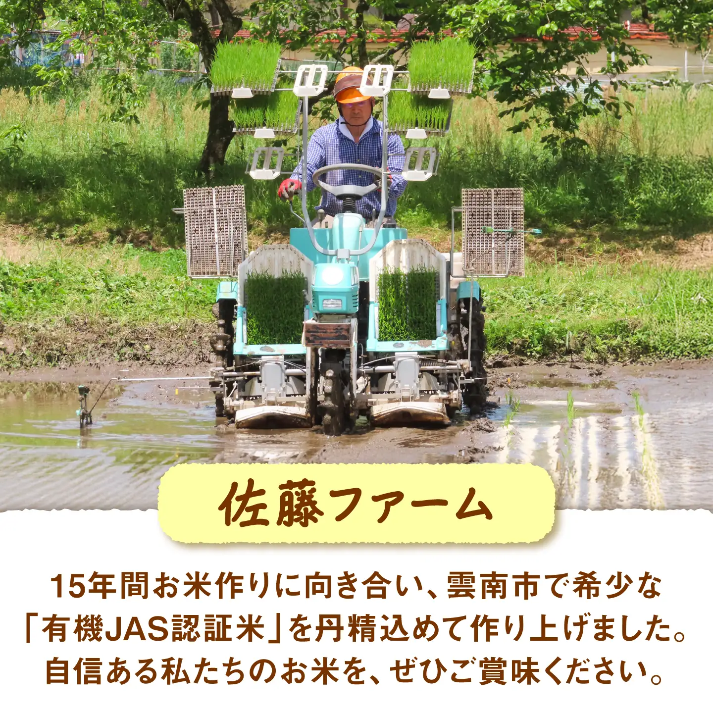【有機JAS認証】有機栽培米きぬむすめ 5kg 令和7年産 玄米 島根県雲南市/佐藤ファーム[AIEO006]