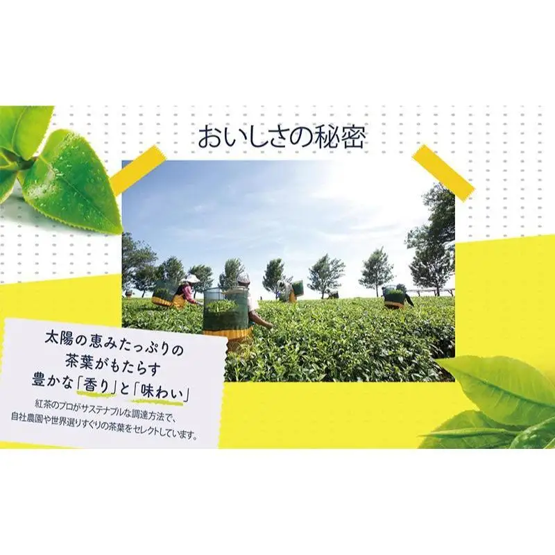 リプトン ストロベリールイボス 15袋 紅茶 リプトン
