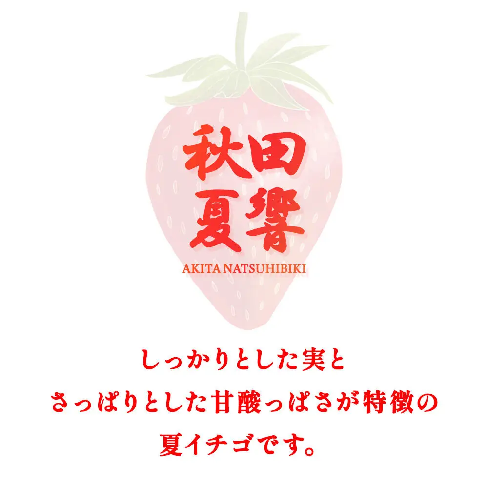 夏イチゴ「秋田夏響」 生 20～35粒詰め合わせ×2パック  いちご 苺 なつひびき