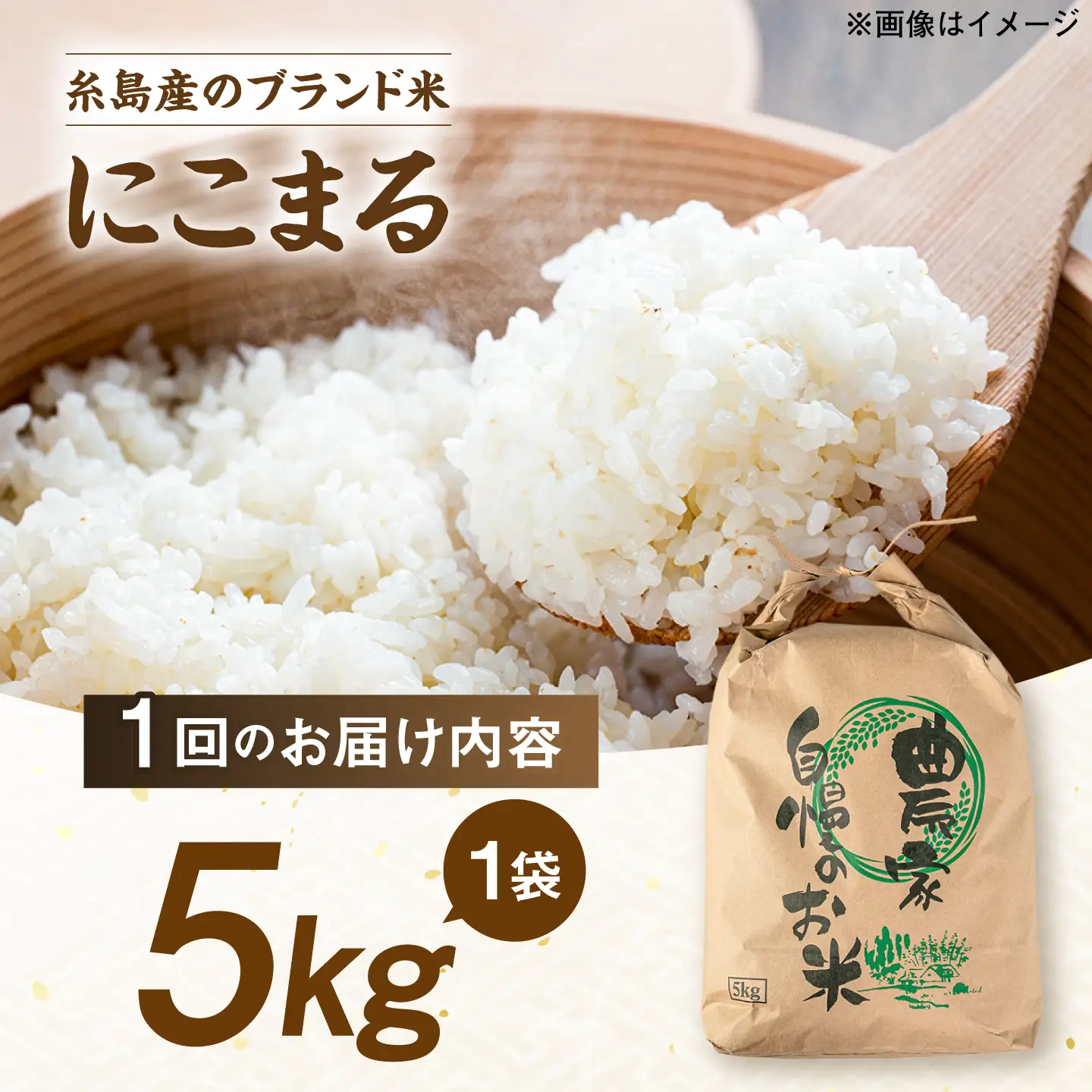 【全12回定期便】 にこまる 玄米品質1等米 白米 5kg 糸島市産 糸島市 / 糸島の恵み コメ こめ ご飯[AGR010]