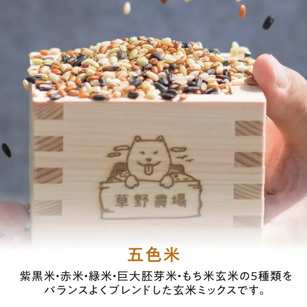 五色米＆紫黒米 古代米食べ比べセット（各1セット） 滋賀県長浜市/草野農場[AQDT022]
