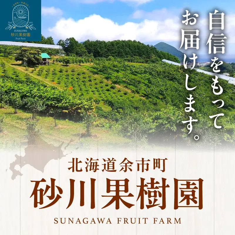 余市の砂川果樹園が贈る 冷凍ブルーベリー1Kg_Y033-0041