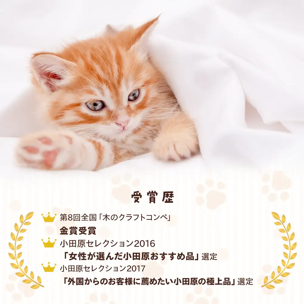 木製　にくきゅうキーホルダー　ウォールナット×みずき｜ キーホルダー 神奈川県 小田原市