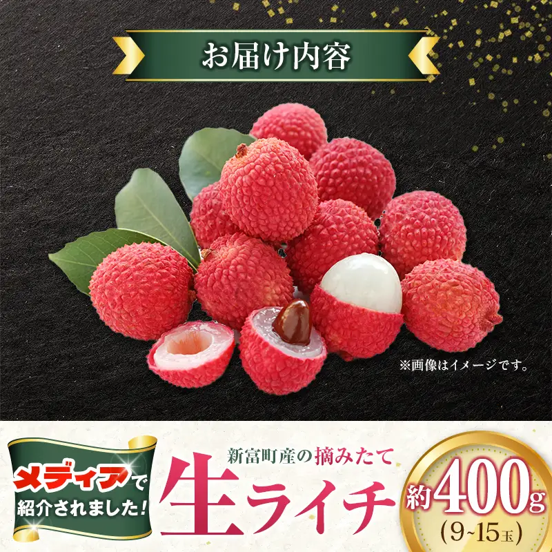 新富町産 生ライチ 約400g 9～15玉 国産 宮崎 贈答品 数量限定 B704-27