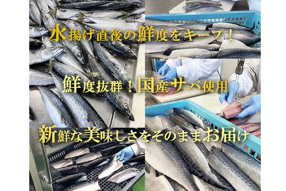 レンジで簡単焼魚！焼き済み 国産さばの一夜干し ～旨味昆布仕立て～ 5枚入り 無添加 冷凍 お取り寄せ