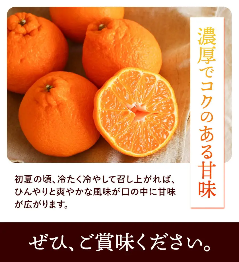 長期熟成 しらぬい 約5kg (18-28個)  不知火