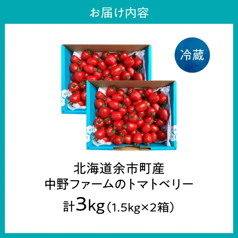 【7月上旬発送】余市町 中野ファーム トマトベリー 3kg トマト_Y026-0015