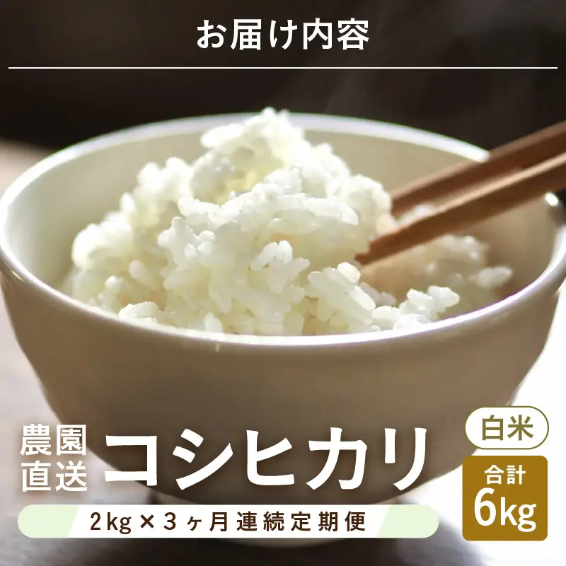 先行予約 定期便 3ヶ月連続お届け コシヒカリ 2kg (1袋) × 3回 計6kg 白米 ブランド米 2026年10月上旬以降順次発送 [A-8992]