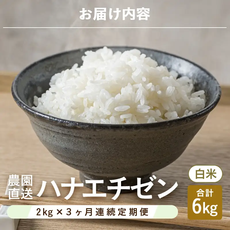 先行予約 定期便 3ヶ月連続お届け ハナエチゼン 2kg (1袋) × 3回 計6kg 白米 精米 ブランド米 2026年9月上旬以降順次発送予定 [A-8991]