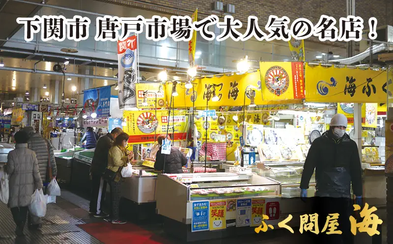 国産とらふぐ 刺身 セット 10人前 ふぐ松前付 冷凍 下関 山口 《海（かい）：KA》