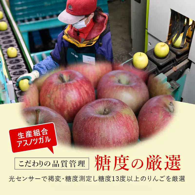 りんごサンふじ蜜入り家庭用葉とらず 青森県産 りんご【約3kg】