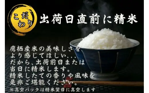 【令和7年産】 ゆめぴりか (玄米) 10kg 北海道 鷹栖町 たかすのお米 米 コメ こめ ご飯