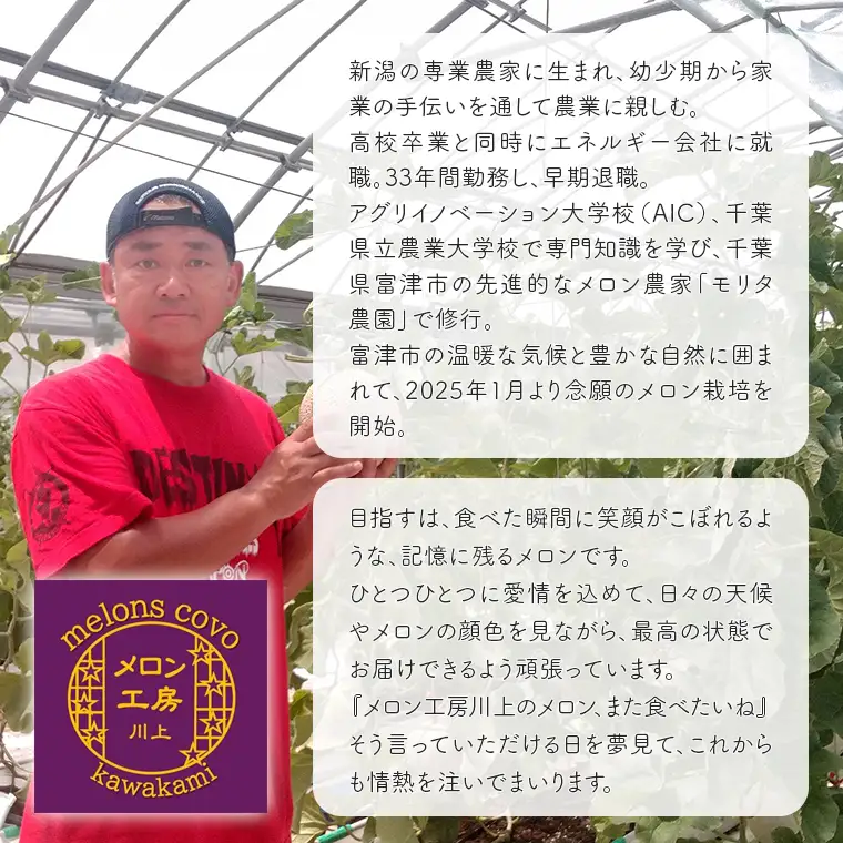 アールスメロン 1玉【9月中旬～下旬頃発送】　メロン工房 川上