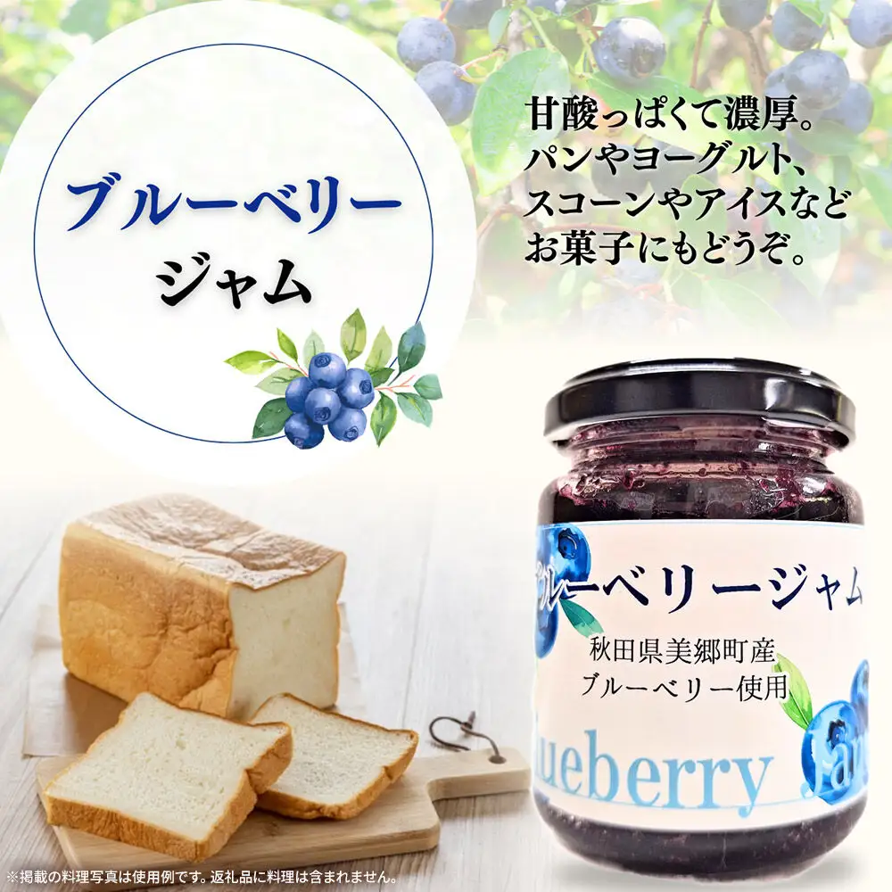 湧水の郷ブルーベリーセット 5点 （バルサミコ酢、ドレッシング、ジャム、ケチャップ、ブルーベリー塩）
