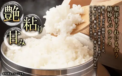 【 12回定期便 】〈 令和8年産 〉 浦臼産 ななつぼし 精白米 5kg お米 米 こめ コメ 白米 白飯 飯 ご飯 おにぎり ブランド米 ブランド 国産 北海道産 和食 定期 定期配送 【 2026年10月下旬より順次発送 】