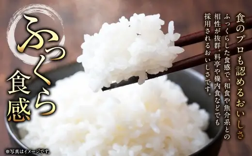 【 3回定期便 】〈 令和8年産 〉 浦臼産 ふっくりんこ 精白米 5kg お米 米 こめ コメ 白米 白飯 飯 ご飯 おにぎり ブランド米 ブランド 国産 北海道産 和食 魚料理 定期 定期配送 【 2026年11月上旬より順次発送 】