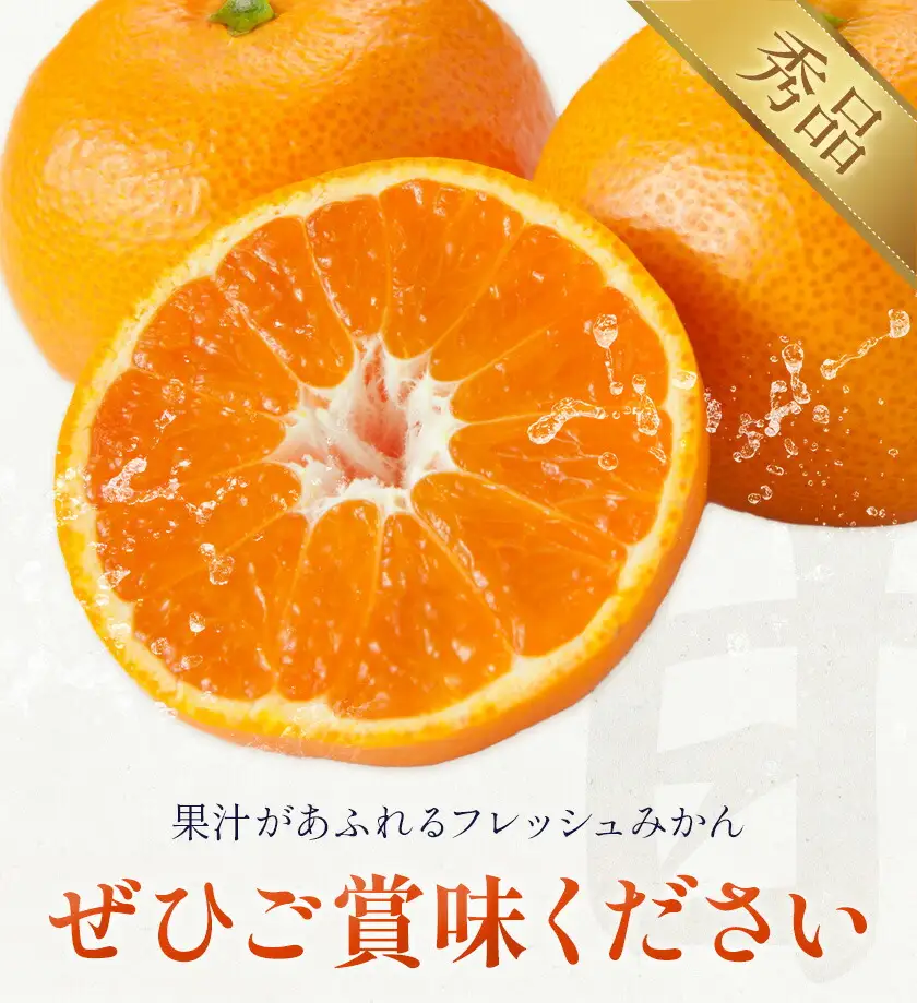 温州みかん 8㎏ 日本フルーツ株式会社 ミカン