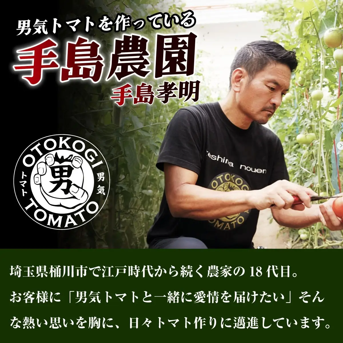 トマトジュース 手島農園 男気トマトジュース 500ml × 2本 