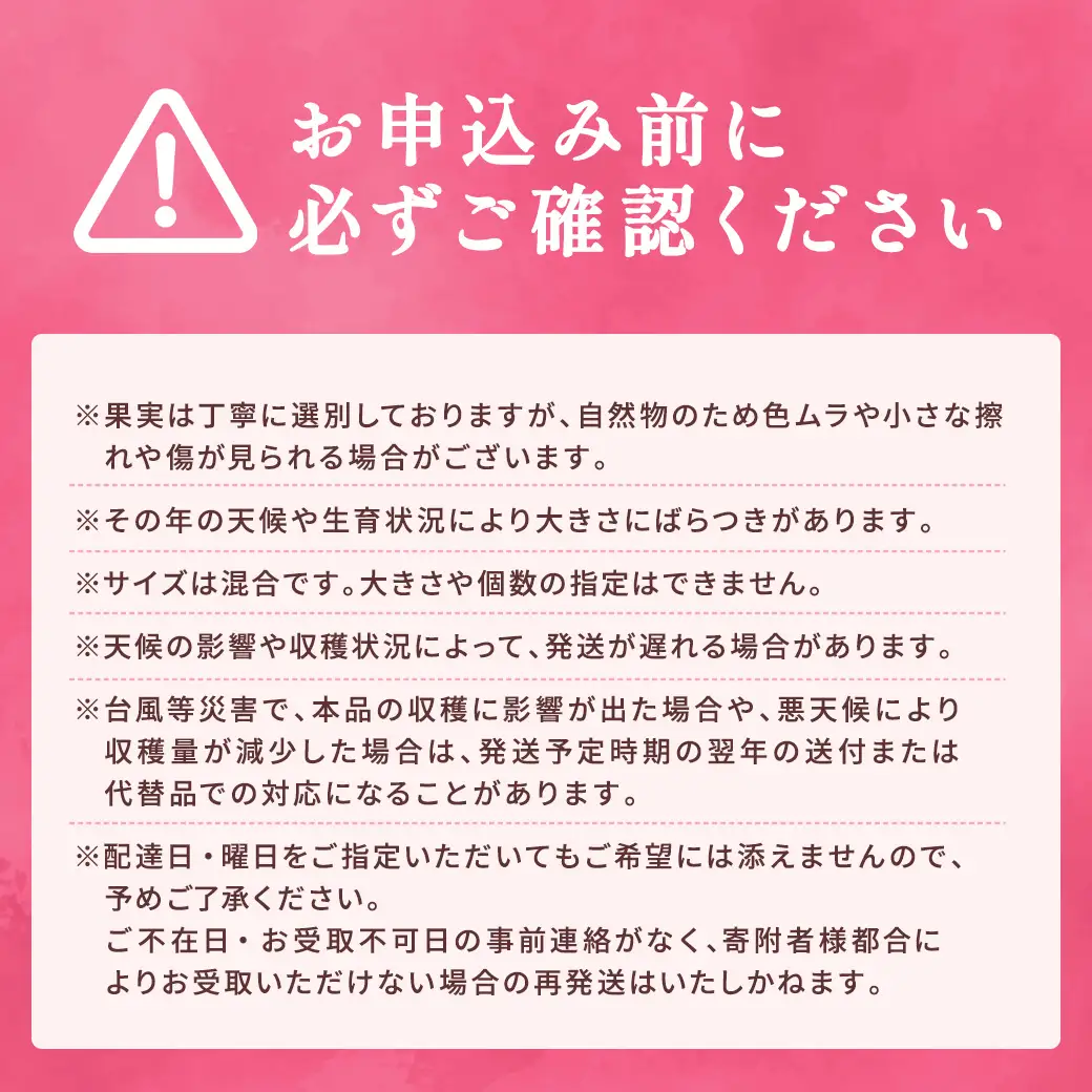 【2026年6～7月頃順次発送予定】パッションフルーツ 1箱（12個～15個入） 贈答用 鹿児島県産 国産 電照栽培 栽培期間中農薬不使用 奄美大島 宇検村 南国フルーツ 産地直送 デザート 特産品 旬 新物 ギフト