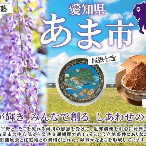 ダンボールトイレ すわれ～る 大容量 家族用 防災士監修 ダンボールトイレ【60回分】【送料無料】