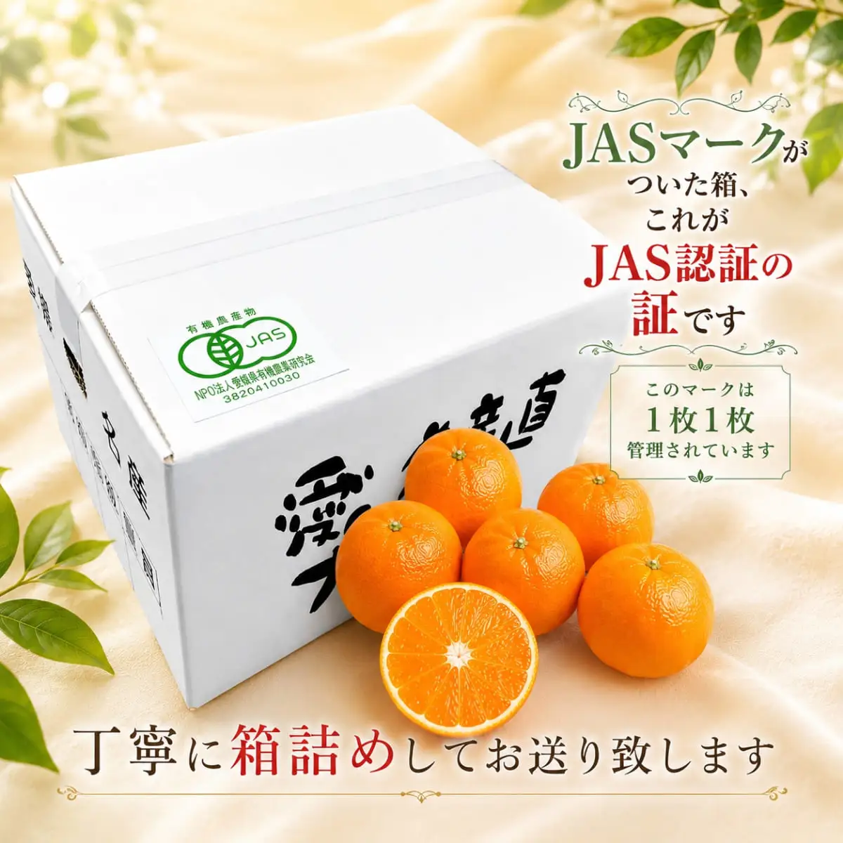 【先行受付】【JAS認証有機栽培】こんな柑橘初めてプルプル新食感「まどんな」約3kg【D39-25】【1044609】 YWTF012