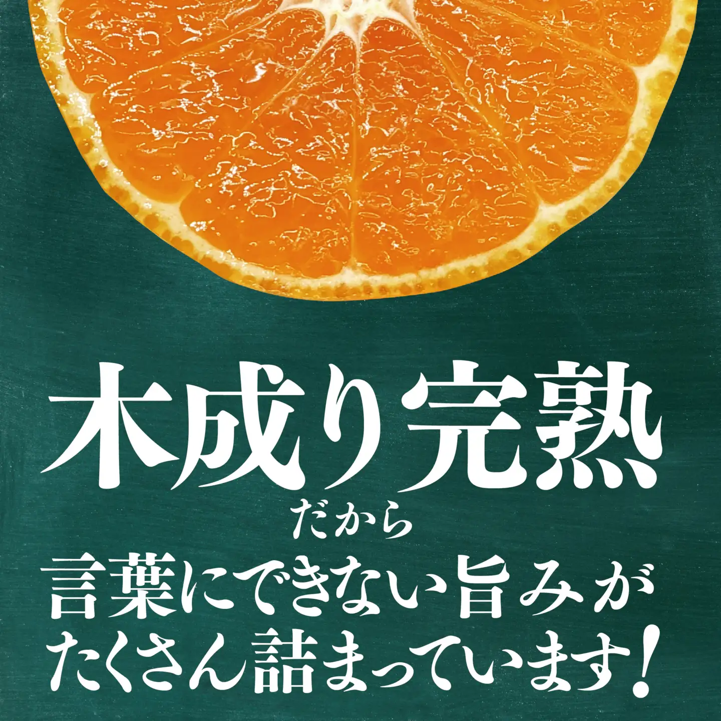 【先行受付】【三つ星ブランド】星乃みかん(3kg)【A45-96】【1625777】 YWTAZ058