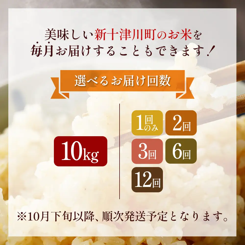 【令和8年度産】 食味ランキング「特A」ななつぼし玄米定期便 (10kg×2回)【11026】