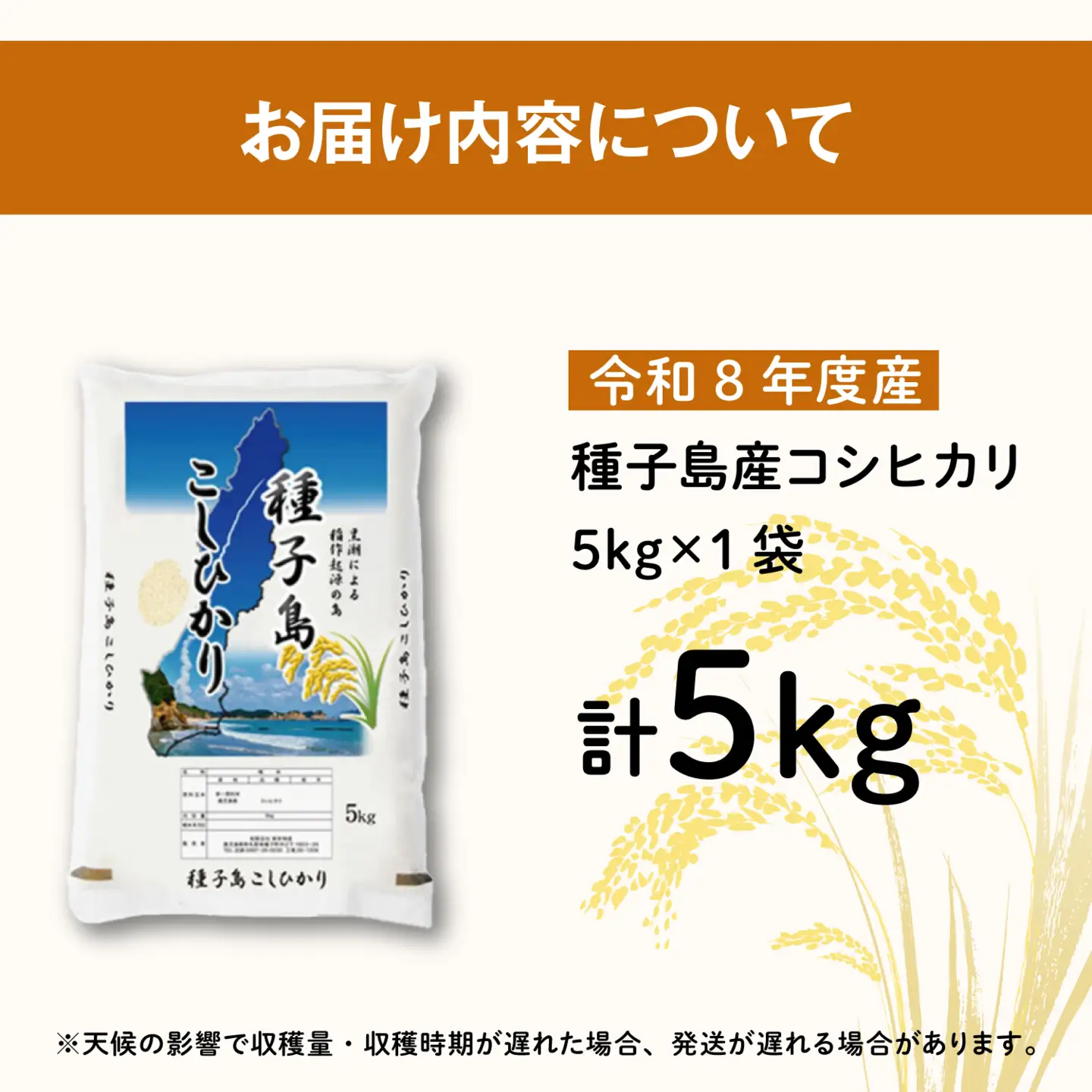 【先行予約】《令和8年産米 新米》【8月上旬より順次発送予定】 種子島産コシヒカリ5kg 【新栄物産】