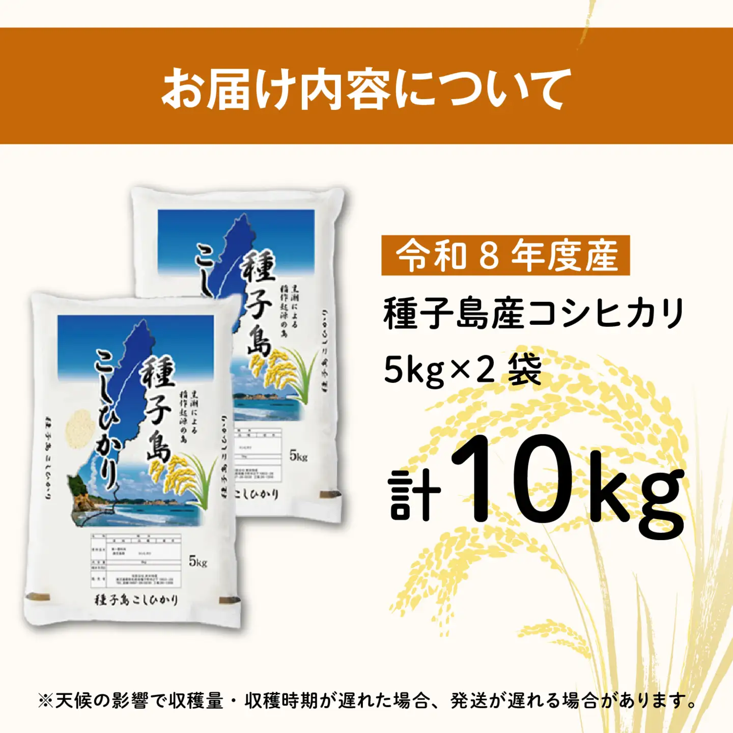 【先行予約】《令和8年産米 新米》 【8月上旬より順次発送予定】 種子島産コシヒカリ10kg（5kg×2）【新栄物産】