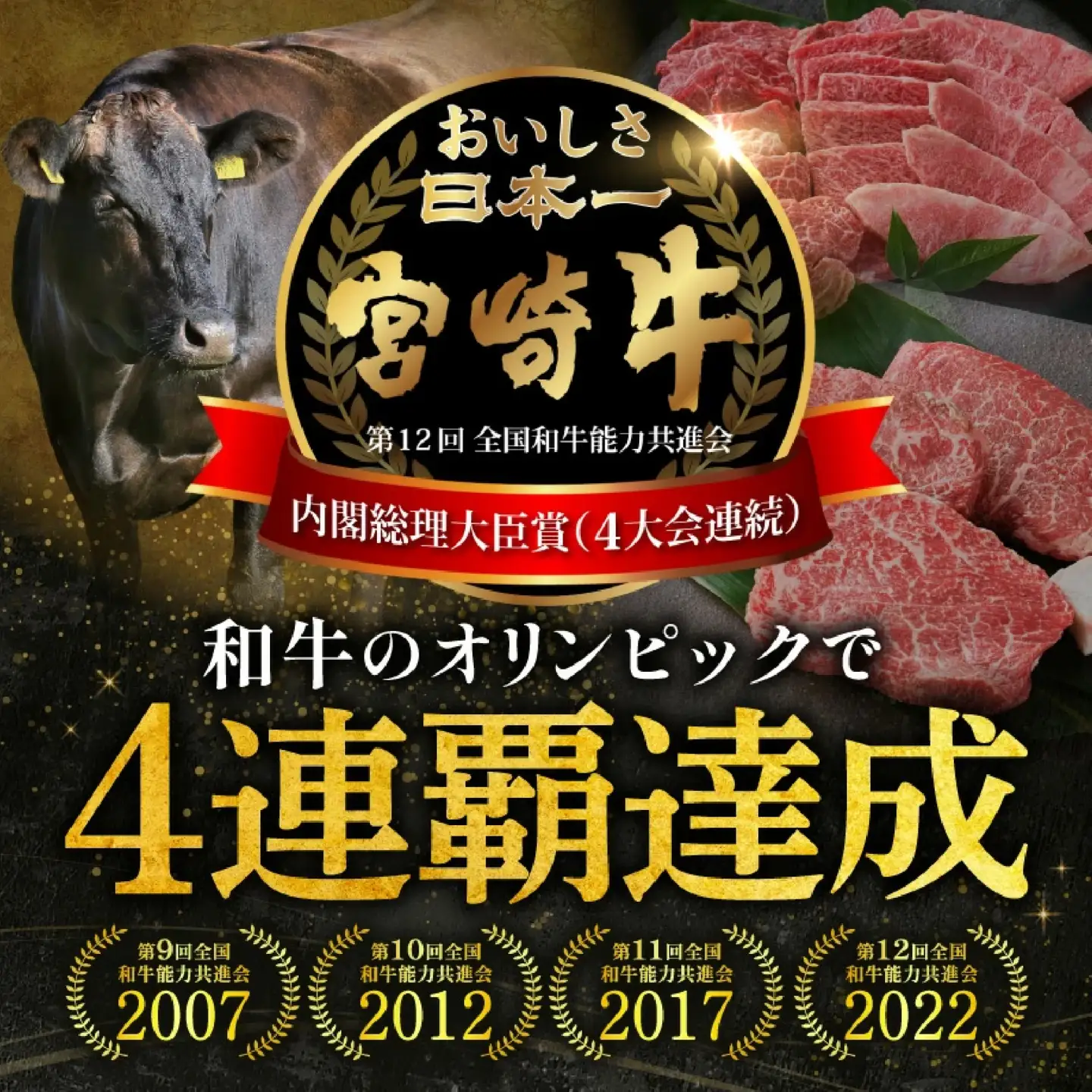 【A4等級以上】宮崎牛赤身スライス 500g（内閣総理大臣賞 A4 A5 宮崎牛 牛肉 黒毛和牛 赤身 すき焼き しゃぶしゃぶ スライス 宮崎県）