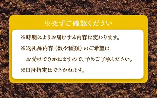 鹿児島県産 季節のお野菜詰め合わせ 10～12品目 野菜 詰め合わせ 新鮮 旬 新鮮野菜 AS-2258