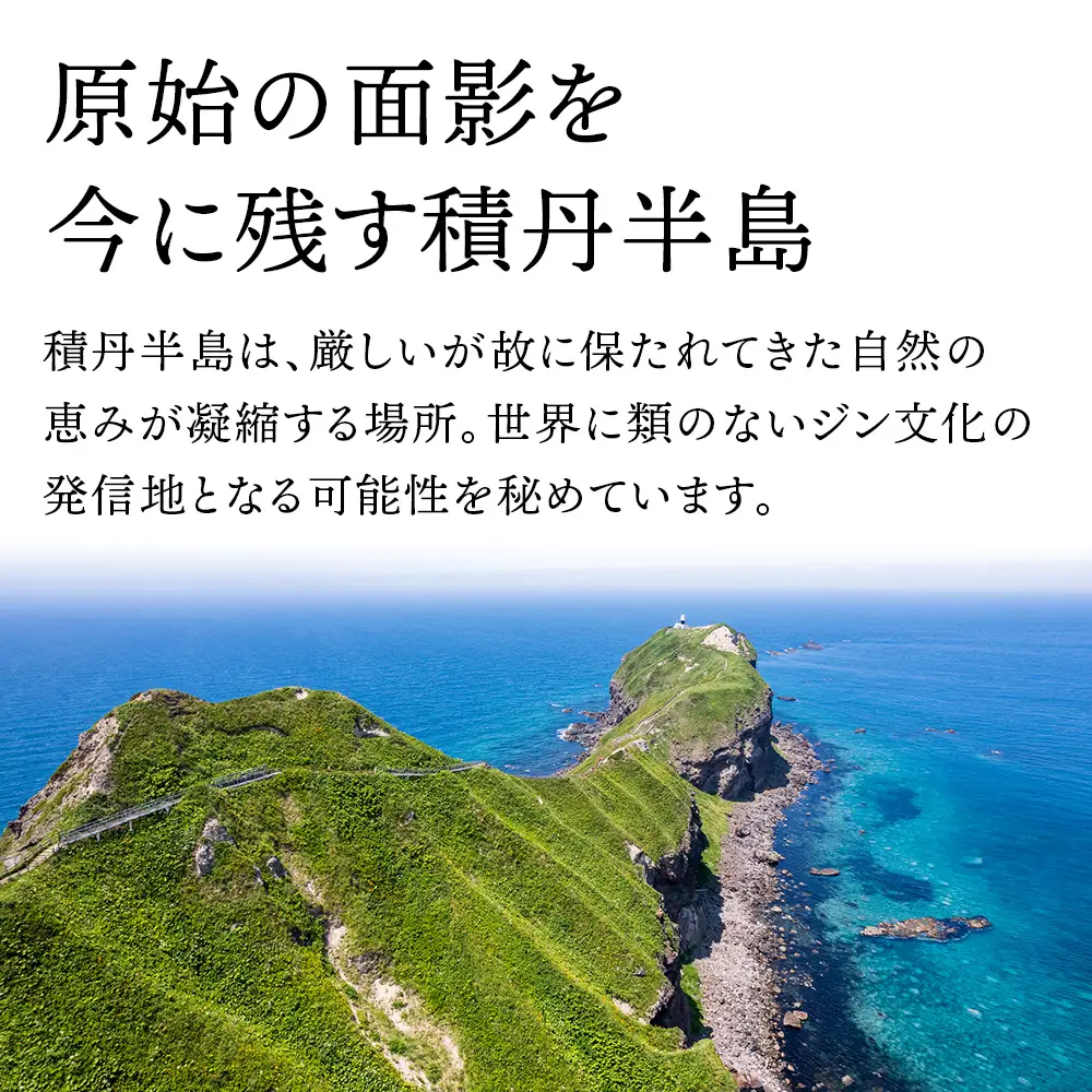 ジン 北海道 積丹 酒 蒸溜酒 アルコール 火の帆 BOUQUET GIN 100ml 1本　