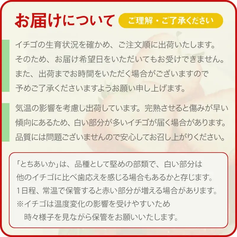 いちご とちあいか 300g×2パック【栃木県共通返礼品】 | いちご イチゴ 苺 とちあいか 生いちご 高級いちご 季節の果物 栃木県産 国産 農家直送 ギフト プレゼント お祝い お返し いちごギフト ※2026年12月～発送