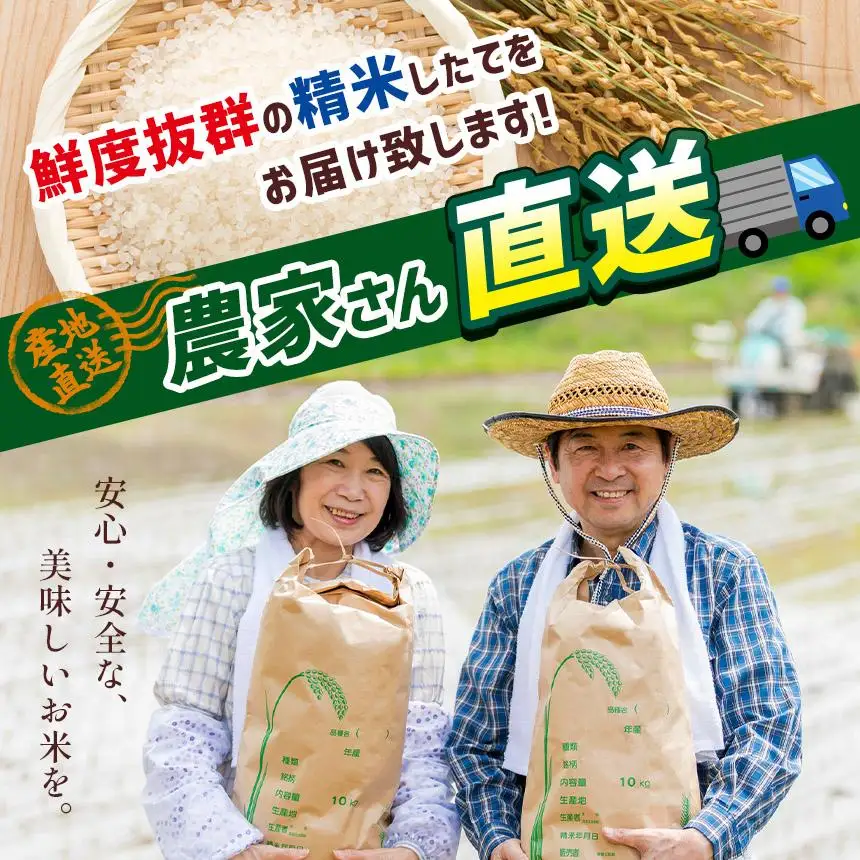 お米 令和8年産 こしひかり 白米 10kg【2026年産】 | 栃木県共通返礼品 真岡市産